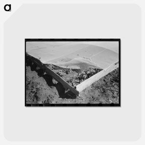 アートポストカード-Corner of Frame Garden
 - ラッセル リー Postcard.