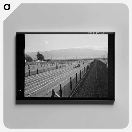 アートパネル-Guayule Nursery
 - ラッセル リー Canvas.