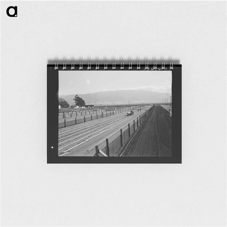 アートメモ帳-Guayule Nursery
 - ラッセル リー Memo.