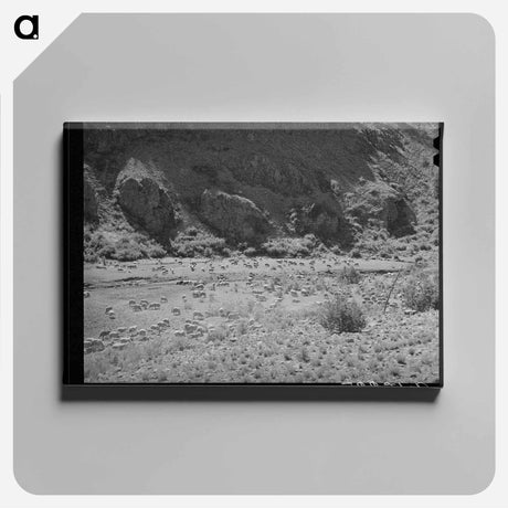 アートパネル-Sheep on the Range
 - ラッセル リー Canvas.