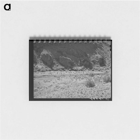 アートメモ帳-Sheep on the Range
 - ラッセル リー Memo.