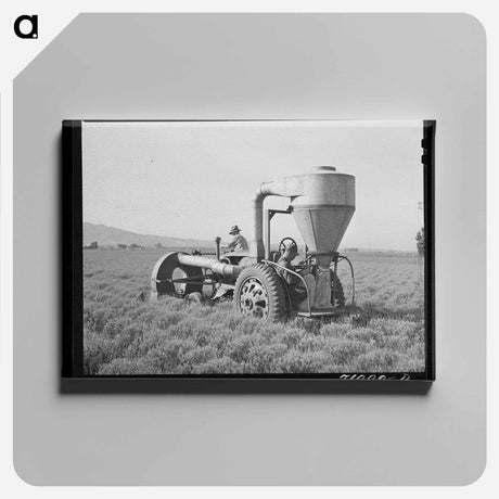 アートパネル-Gathering Guayule Seed
 - ラッセル リー Canvas.