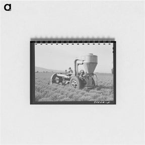 アートメモ帳-Gathering Guayule Seed
 - ラッセル リー Memo.