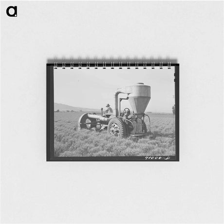 アートメモ帳-Gathering Guayule Seed
 - ラッセル リー Memo.