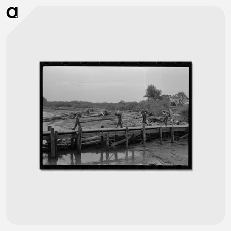 アートポストカード-Unloading Oysters, New Orleans
 - ラッセル リー Postcard.