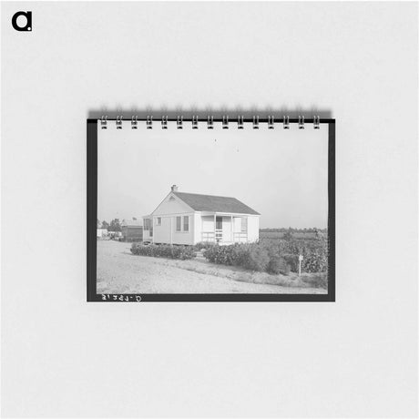 アートメモ帳-Southeast Missouri Farms
 - ラッセル リー Memo.