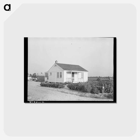 アートポストカード-Southeast Missouri Farms
 - ラッセル リー Postcard.
