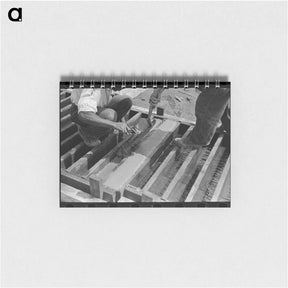 アートメモ帳-Southeast Missouri Farms Project
 - ラッセル リー Memo.