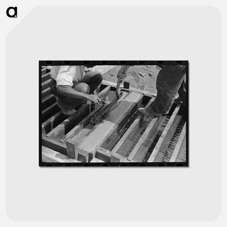 アートポストカード-Southeast Missouri Farms Project
 - ラッセル リー Postcard.