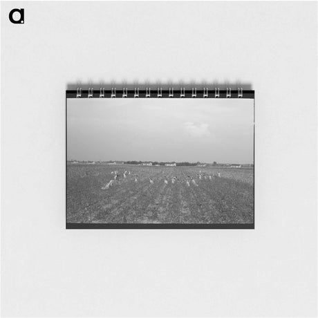 アートメモ帳-Lake Dick Cooperative
 - ラッセル リー Memo.