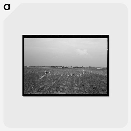 アートポストカード-Lake Dick Cooperative
 - ラッセル リー Postcard.