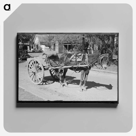 アートパネル-Horse and Wagon, Taylor, Texas
 - ラッセル リー Canvas.