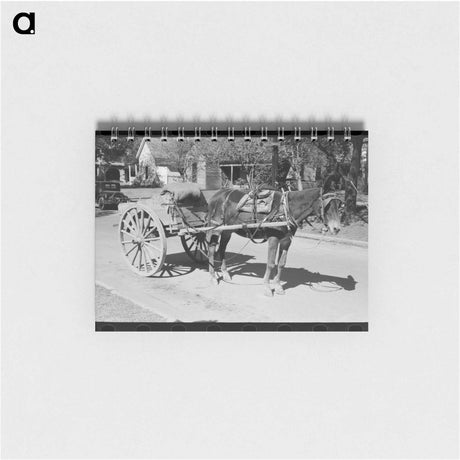 アートメモ帳-Horse and Wagon, Taylor, Texas
 - ラッセル リー Memo.