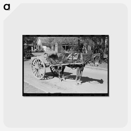 アートポストカード-Horse and Wagon, Taylor, Texas
 - ラッセル リー Postcard.