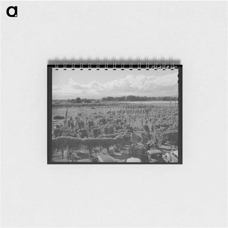 アートメモ帳-Hop Field, Yakima County
 - ラッセル リー Memo.