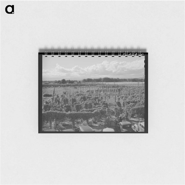 アートメモ帳-Hop Field, Yakima County
 - ラッセル リー Memo.