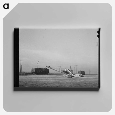 アートパネル-Sugar Beet Loader
 - ラッセル リー Canvas.
