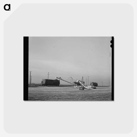 アートポストカード-Sugar Beet Loader
 - ラッセル リー Postcard.