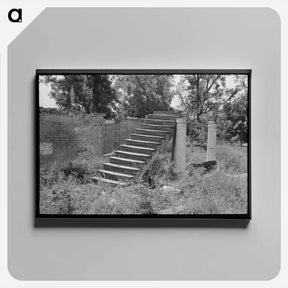 アートパネル-Plantation Ruins
 - ラッセル リー Canvas.