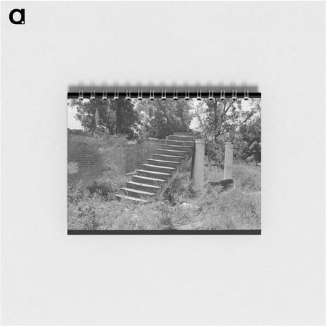 アートメモ帳-Plantation Ruins
 - ラッセル リー Memo.