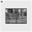 アートポストカード-Plantation Ruins
 - ラッセル リー Postcard.