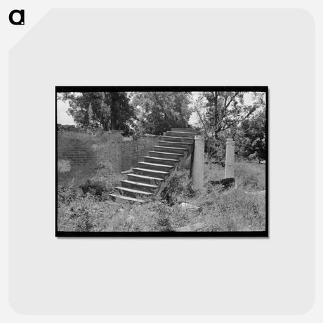 アートポストカード-Plantation Ruins
 - ラッセル リー Postcard.