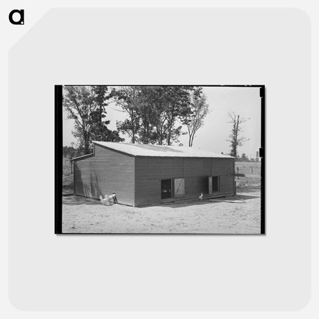 アートポストカード-Chicken House, Sabine Farms
 - ラッセル リー Postcard.