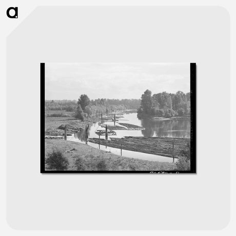 アートポストカード-Log Raft in Columbia River
 - ラッセル リー Postcard.