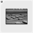 アートポストカード-Migratory Labor Camp, Sinton, Texas
 - ラッセル リー Postcard.