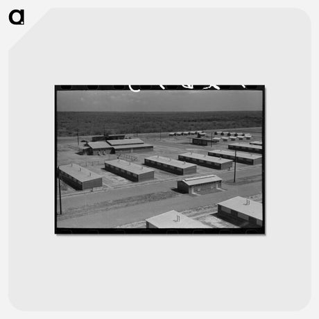 アートポストカード-Migratory Labor Camp, Sinton, Texas
 - ラッセル リー Postcard.