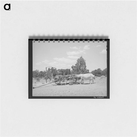 アートメモ帳-Pie Town Farm
 - ラッセル リー Memo.