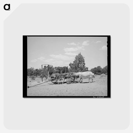 アートポストカード-Pie Town Farm
 - ラッセル リー Postcard.