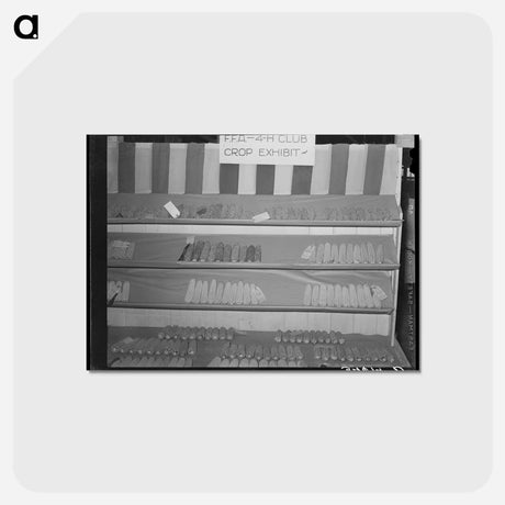 アートポストカード-4-H Boys at the Gonzales County Fair
 - ラッセル リー Postcard.