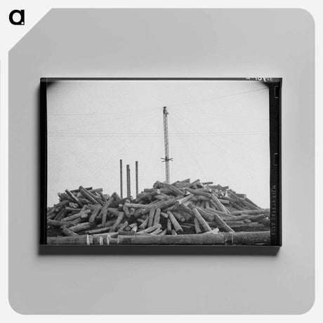 アートパネル-Piles of Logs, Laurel, Mississippi
 - ラッセル リー Canvas.