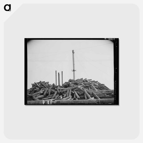 アートポストカード-Piles of Logs, Laurel, Mississippi
 - ラッセル リー Postcard.
