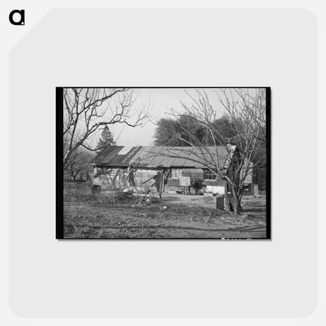 アートポストカード-Oklahoma Farmer's California Dream
 - ラッセル リー Postcard.