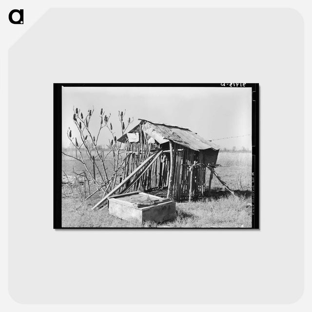アートポストカード-Chicken Shed, Louisiana
 - ラッセル リー Postcard.
