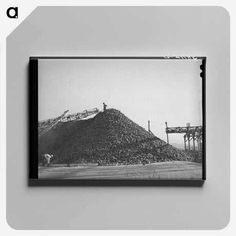 アートパネル-Sugar Beet Pile
 - ラッセル リー Canvas.