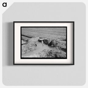 アートポスター-Onion Field Irrigation
 - ラッセル リー Poster.