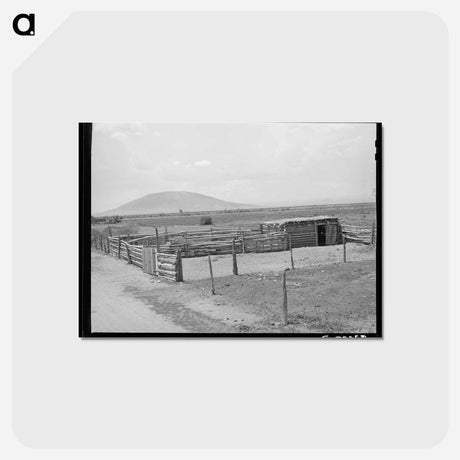 アートポストカード-Corral and Horse Barn
 - ラッセル リー Postcard.