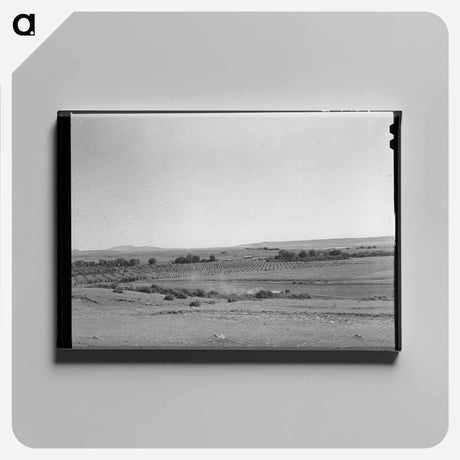 アートパネル-Orchard in Mora River Valley
 - ラッセル リー Canvas.