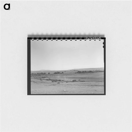 アートメモ帳-Orchard in Mora River Valley
 - ラッセル リー Memo.