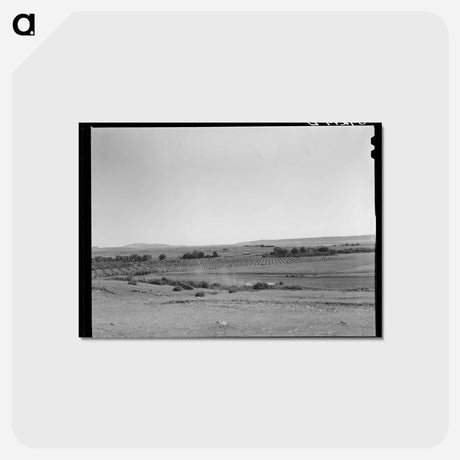 アートポストカード-Orchard in Mora River Valley
 - ラッセル リー Postcard.