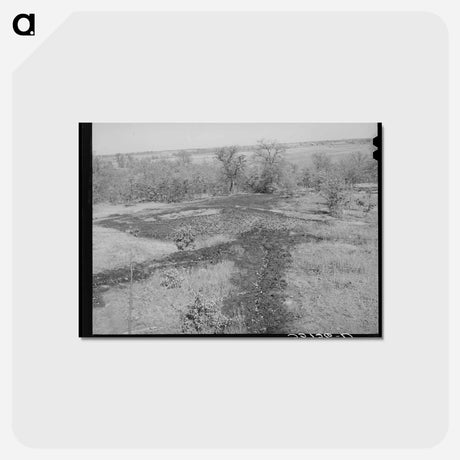 アートポストカード-Oil Draining into Slush Pit
 - ラッセル リー Postcard.