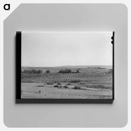 アートパネル-Orchard. Mora River Valley
 - ラッセル リー Canvas.