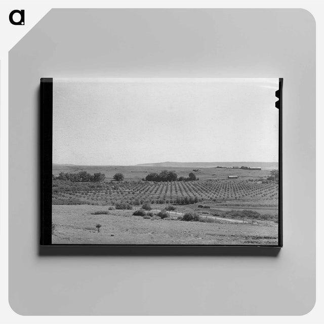 アートパネル-Orchard. Mora River Valley
 - ラッセル リー Canvas.
