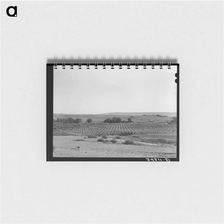 アートメモ帳-Orchard. Mora River Valley
 - ラッセル リー Memo.