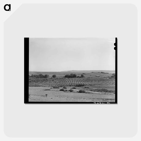 アートポストカード-Orchard. Mora River Valley
 - ラッセル リー Postcard.