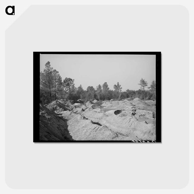 アートポストカード-Placer Mining Section, Gold
 - ラッセル リー Postcard.