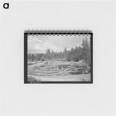 アートメモ帳-Logs in Pond
 - ラッセル リー Memo.